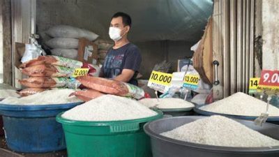 Berantas Praktik Pengoplosan Beras, Menteri Pertanian: Ini Soal Keadilan Untuk Petani
